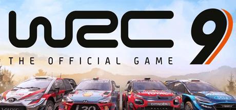 世界汽车拉力锦标赛9